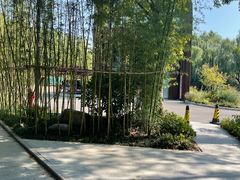 -昆山城市生态森林公园