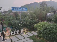 -蘇河湾·新鲁菜·泰山宴(泰山店)