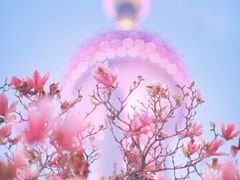 -陆家嘴中心绿地