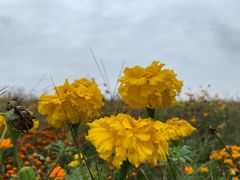 -白鹭湾湿地公园