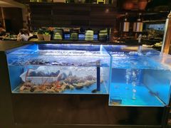 -长沙北辰洲际酒店-兰调全日餐厅