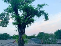 -北门涮肉·炭火铜锅涮肉(什刹海店)