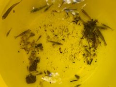 -碓臼峪自然风景区