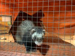 -酷嗒动物文化乐园(cutezoo西溪乐天城店)