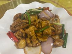-荔枝红五号农庄