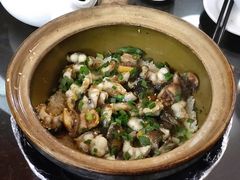 -红星光发煲仔饭(文海店)