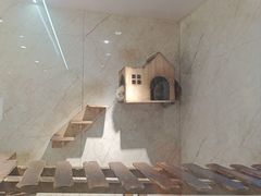 -白马涧龙池景区
