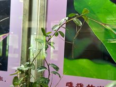 -上海昆虫博物馆