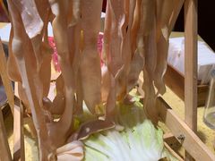 -田鸭肠·非遗火锅(彭州店)