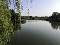 -马家湾湿地公园