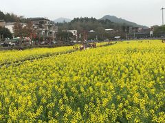 -红山村