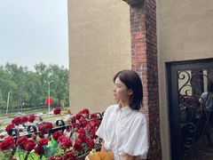 -德国金皇冠啤酒坊(硅谷大街店)