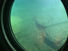 -白鹤梁水下博物馆