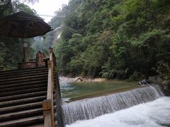 -九龙江国家森林公园