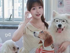 -汪说·狗咖·拼豆·宠物周边DIY(旺城大厦店)