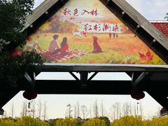 -上海海湾国家森林公园