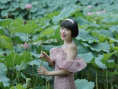 -陈家山荷花公园