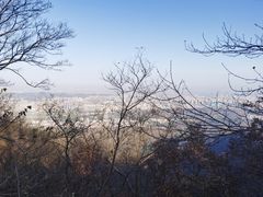 -紫金山山顶公园