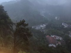 -大金鹰园