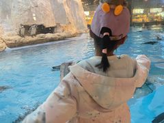 -帝企鹅自助餐厅•儿童岛•真企鹅(长隆企鹅酒店)