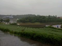 -大塘金香草谷