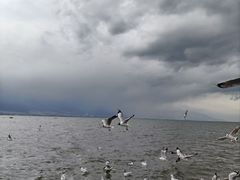 -大理洱海