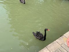 -长兴太湖图影湿地文化园