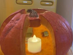 -春树下·树屋花房西餐厅(罍街AS1980店)