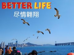-黑石礁公园