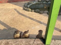 -杭州野生动物世界