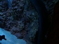 android_upload_pic-河川生态园