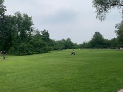-御林古桑园