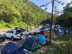 -武陵山森林公园