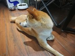 -About Bistro關於·泰式家庭料理