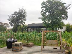-田园东方蜜桃村的田野营地
