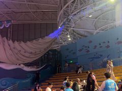 -烟台海昌鲸鲨海洋公园