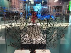 -上海中国航海博物馆