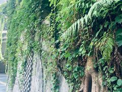 -山城巷传统风貌区