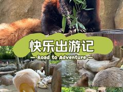 -北京野生动物园