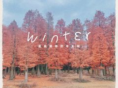 -四明湖