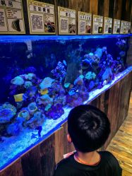 -Zoolung Zoolung动物主题公园(海信广场店)