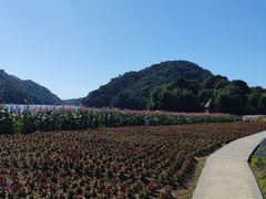 -广州市石门国家森林公园
