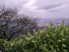 -广州市白云山风景名胜区