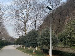 -幕燕滨江·长江观音景区