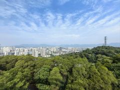 -金鸡山公园
