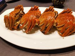 太子蟹-都市阳光海鲜城(青山湖店)