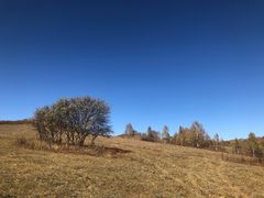 -塞罕坝国家级自然保护区