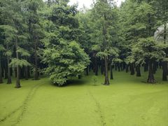 -青山湖景区