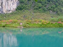 -靖西鹅泉风景区