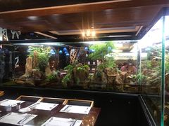 -泰谷酒店·太古码头闽菜自助餐厅